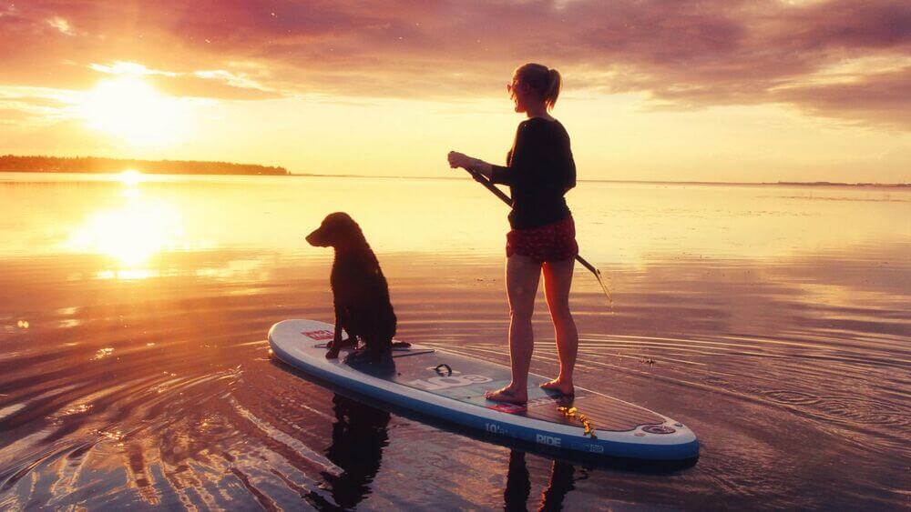 Silhouette of a woman and her dog on a stand-up paddleboard (SUP) during a golden sunset on a calm Finnish lake, showcasing a relaxing summer activity.